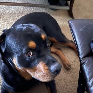 Meet your Posher, Tina